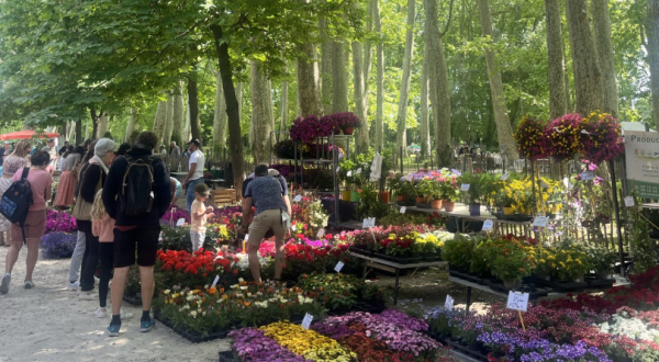 le parc du château