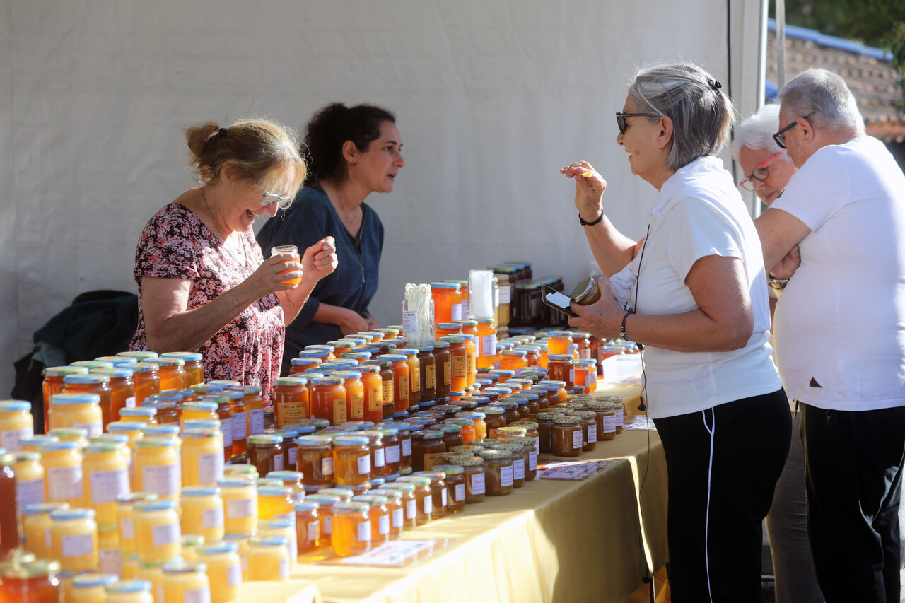 Nos coups de cœur sorties du vendredi 17 au dimanche 19 octobre