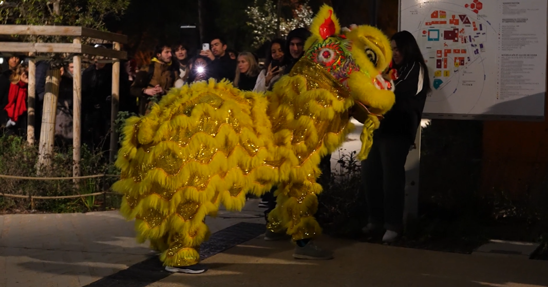 Semaine du Nouvel An chinois à l&rsquo;université Paul-Valéry sous le signe du cheval de feu