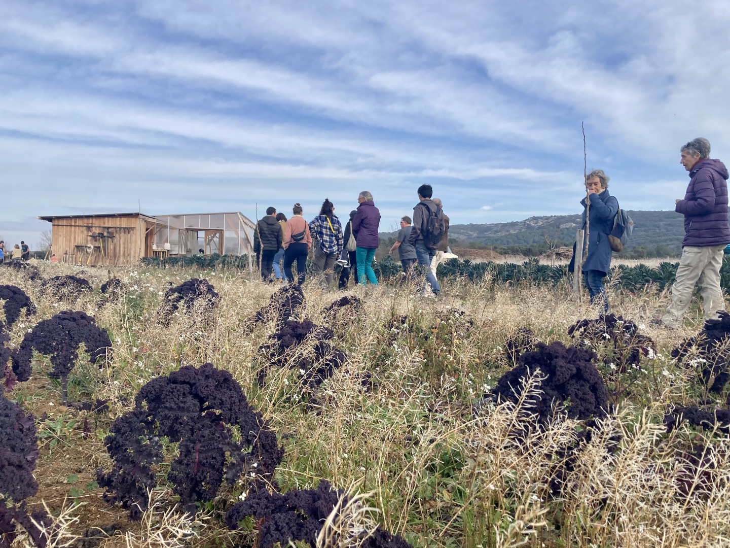 Animations, dégustations, rencontres avec les agriculteurs… c’est Manger comme on sème, le festival des 4 saisons !