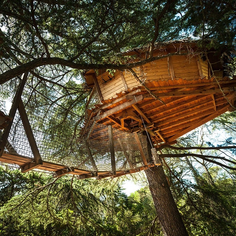 cabane dans les arbres