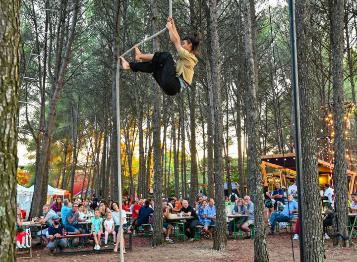 Spectacle circassien O'millesimes