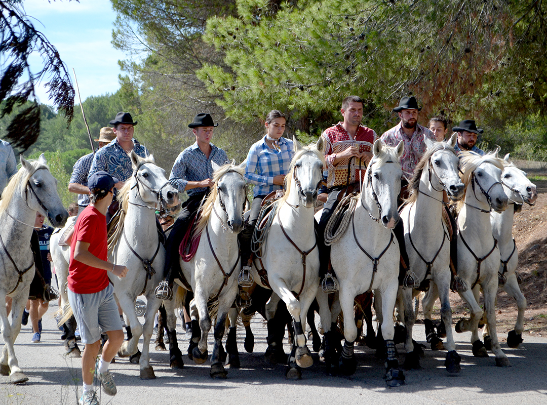 Groupe de cavaliers à cheval