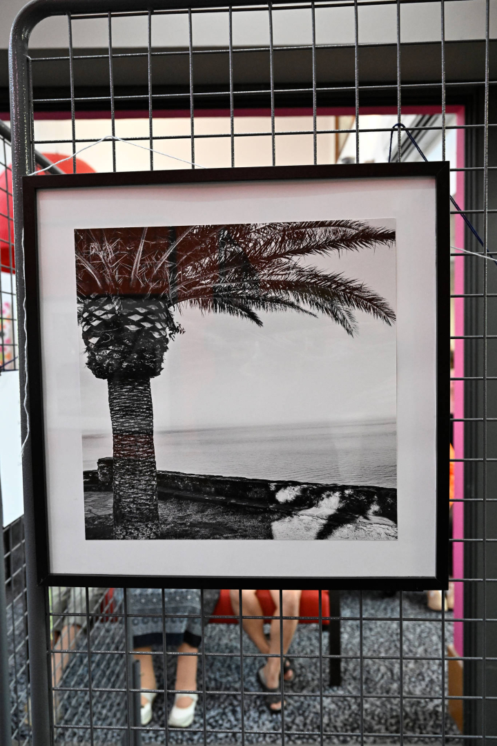 Photo de palmier sur une promenade de bord de mer