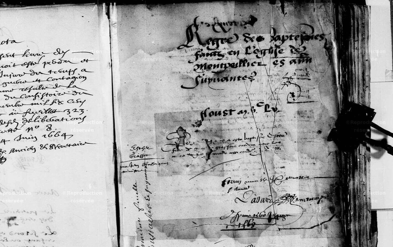 Registre municipal d'Esther Grasset, baptisée en 1560