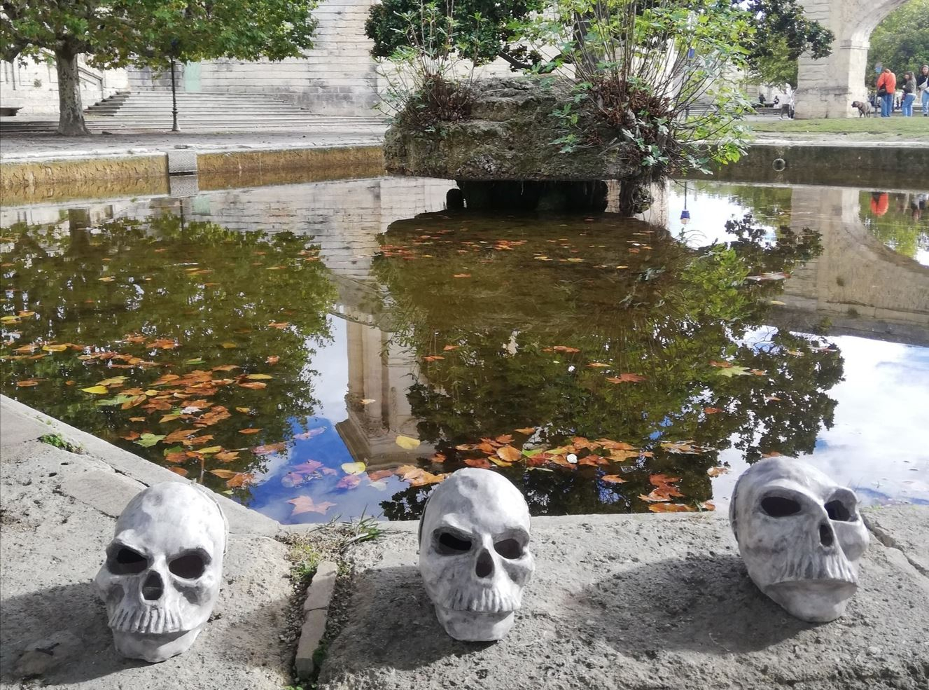 Photo de crânes disposées sur le bord du bassin du Peyrou