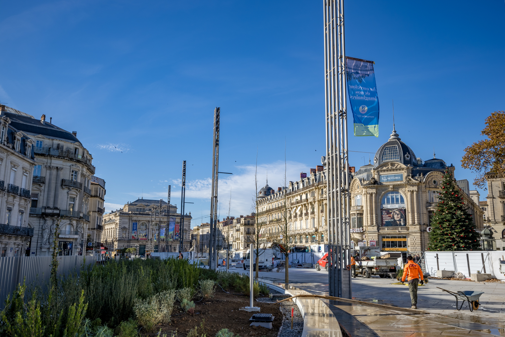 Les plantations sur la place de la Comédie 