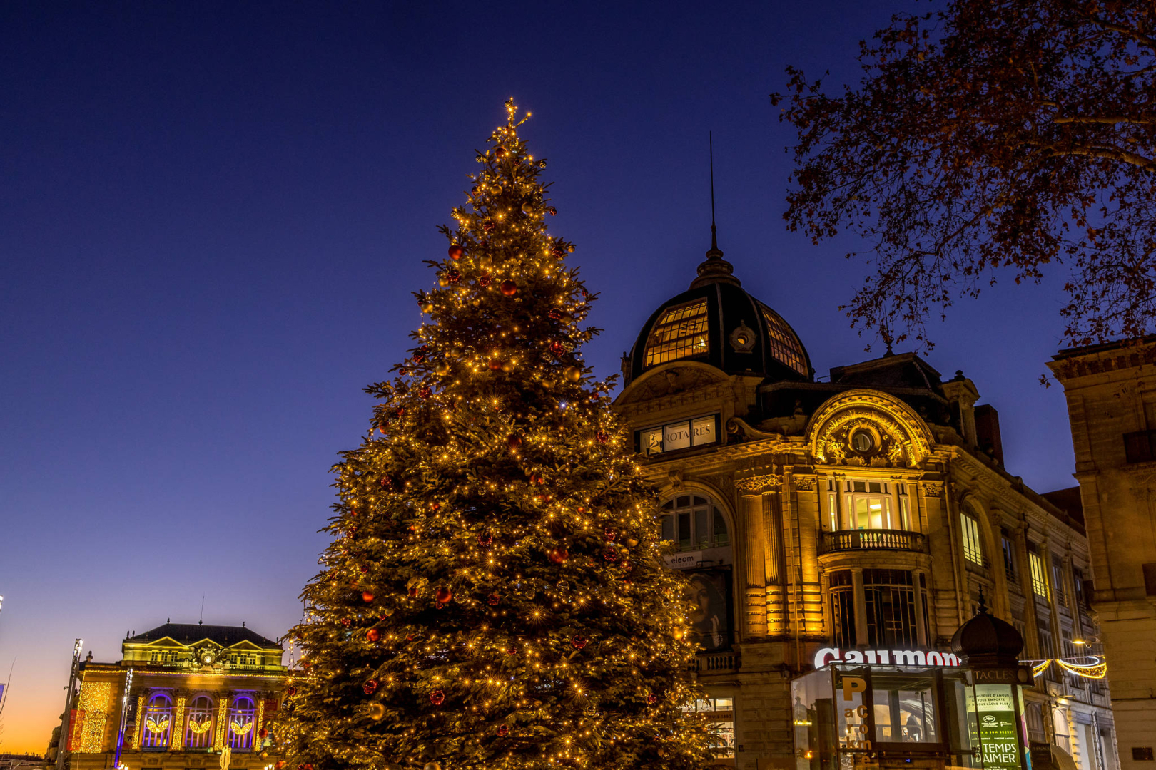 Sapin de noël sur la Comédie