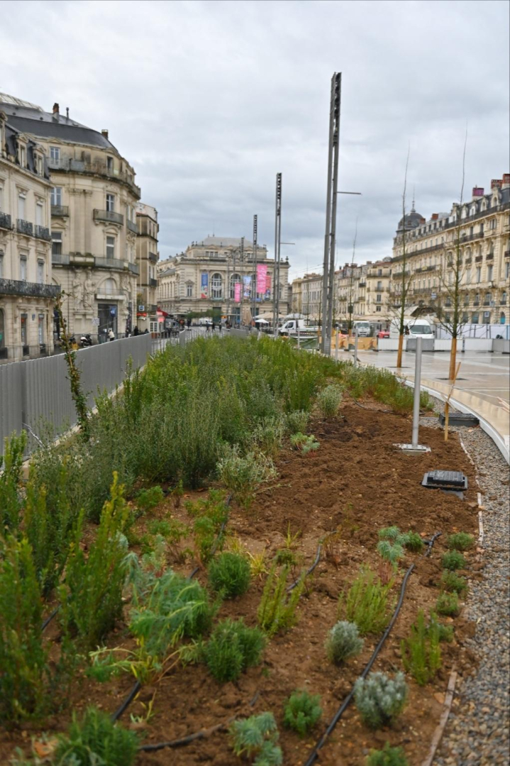 Le banc jardin