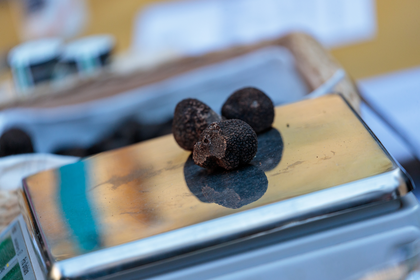 La qualité des truffes mises en vente est contrôlée avant l'ouverture du marché