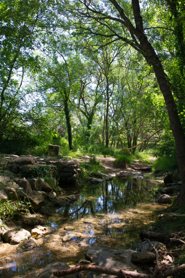 Deux ruisseaux traversent Sussargues : le Bérange et le Valentibus