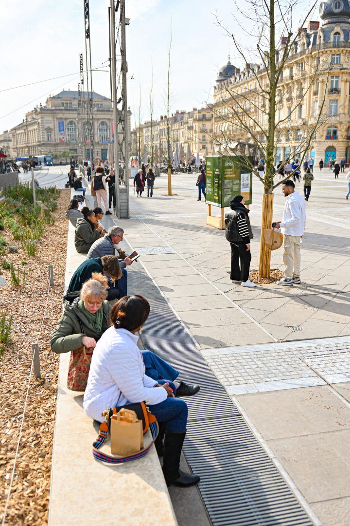 le banc place de la comédie