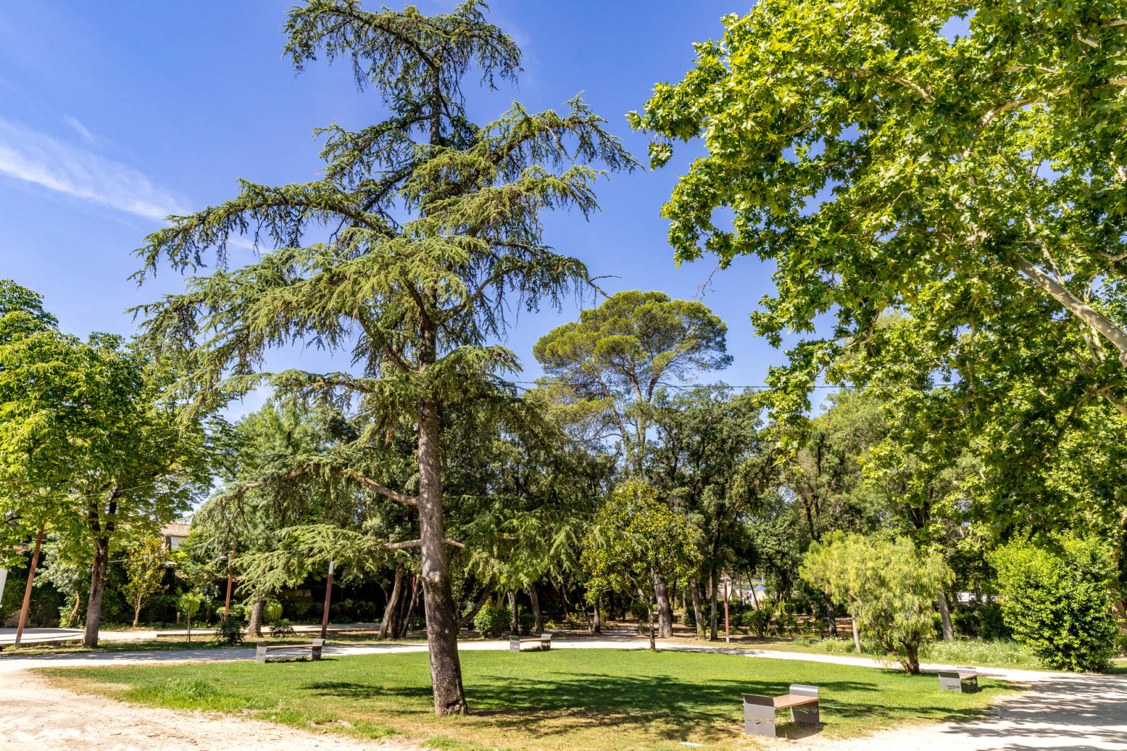 Parc Saint Drézéry