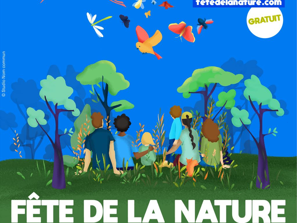 Affiche de la fête de la nature, des enfants dessinés regardent des oiseaux et des arbres