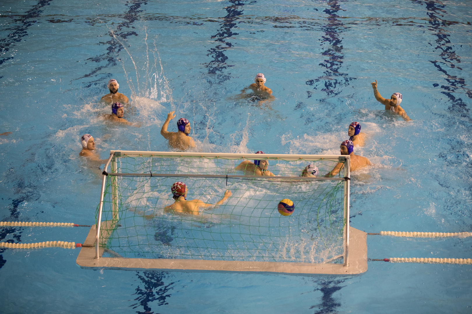 Match de World League entre la France et la Croatie à Montpellier en 2016