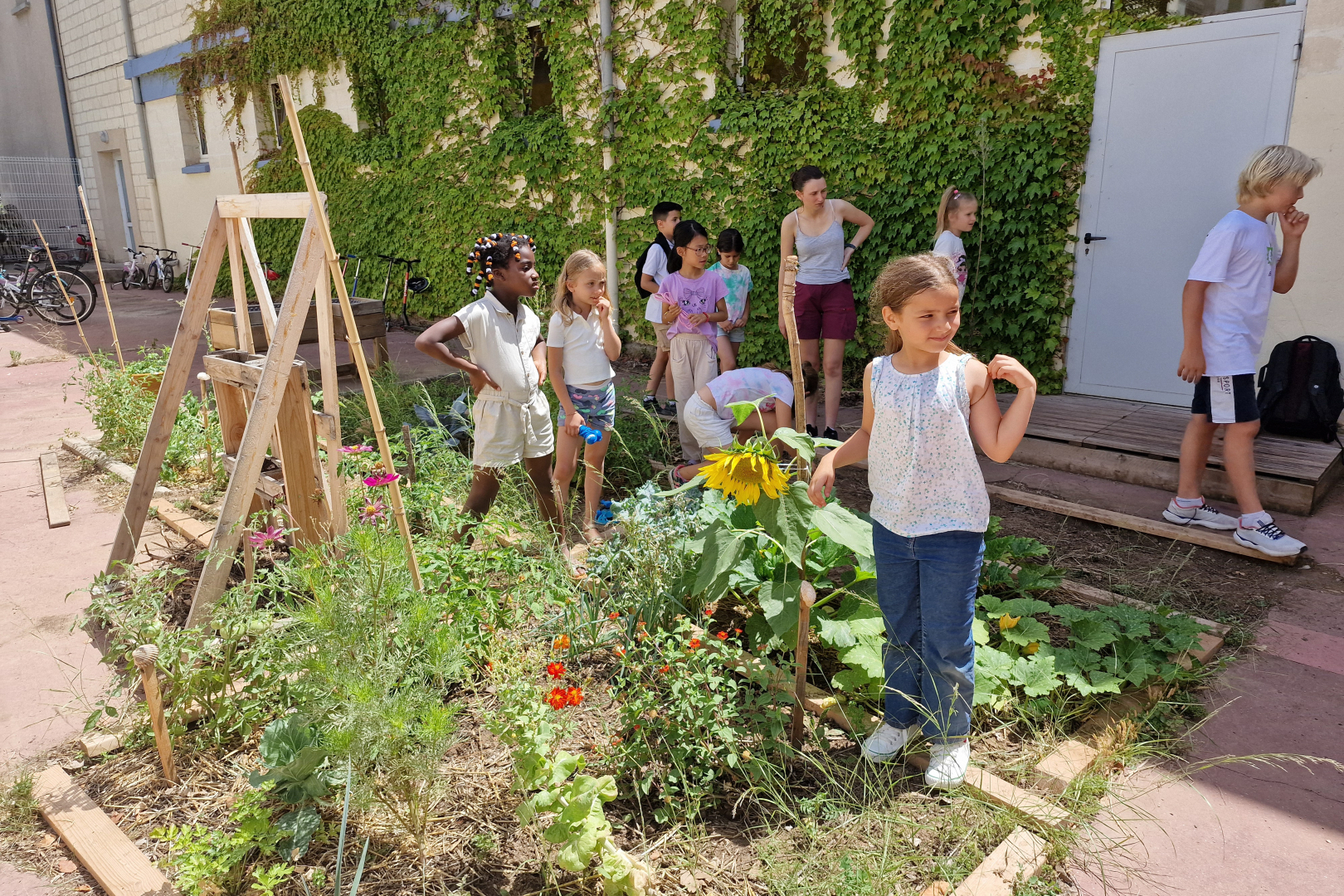 jardin potager B Morisot