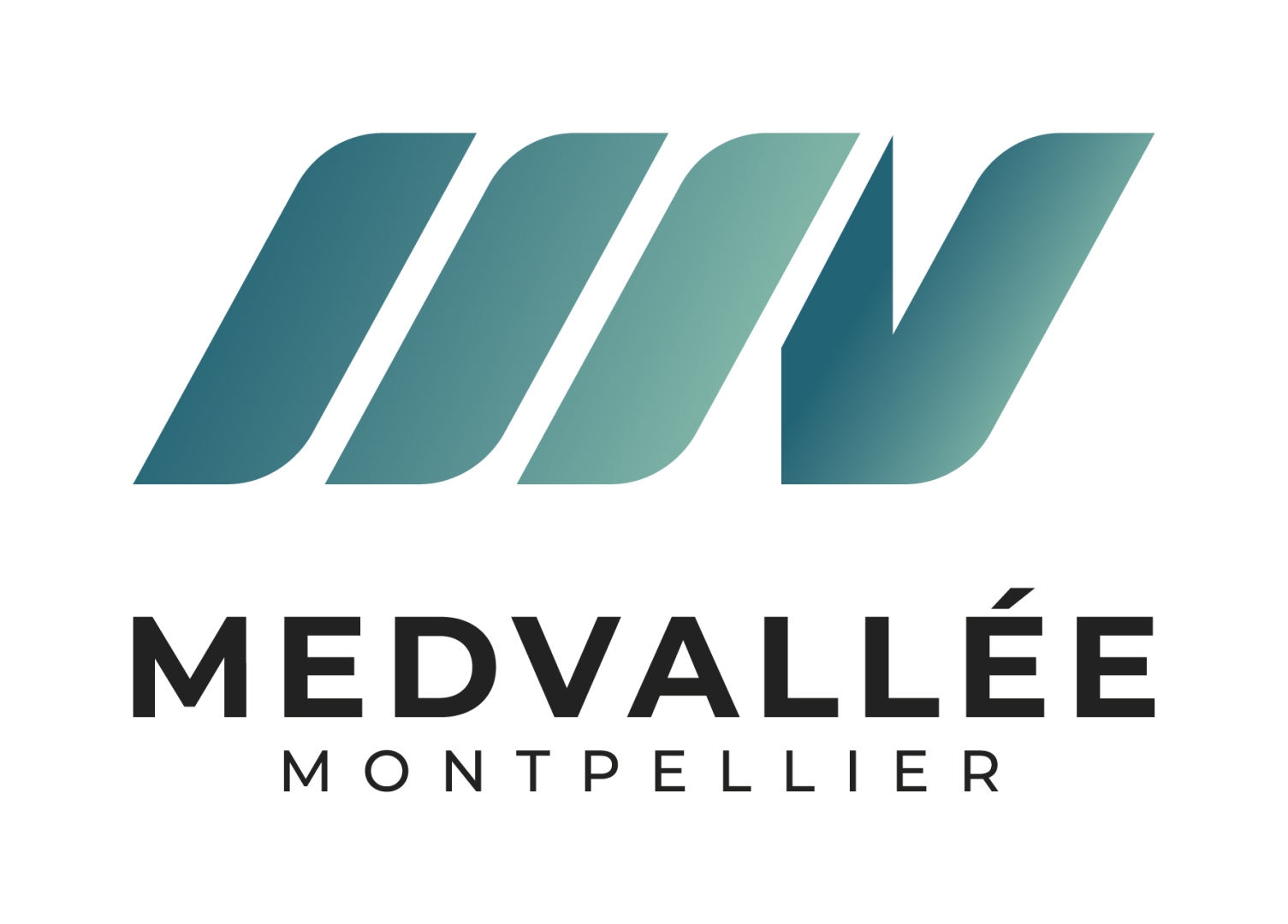 logo MedVallée
