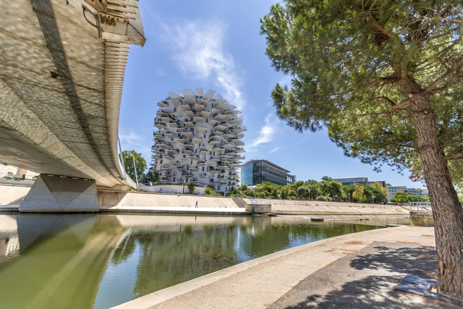 L'Arbre Blanc