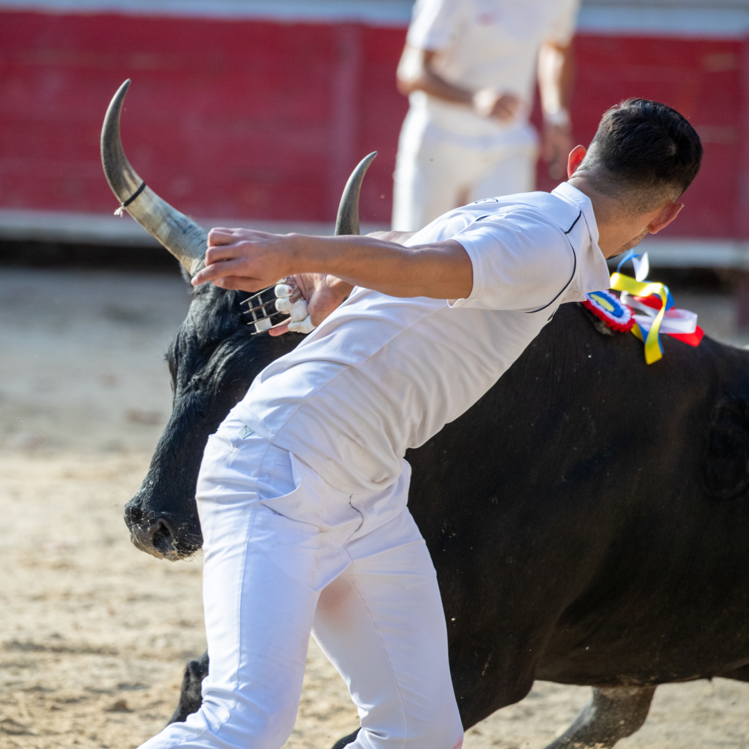 Trophée taurin à Saint-Geniès-des-Mourgues, 2023