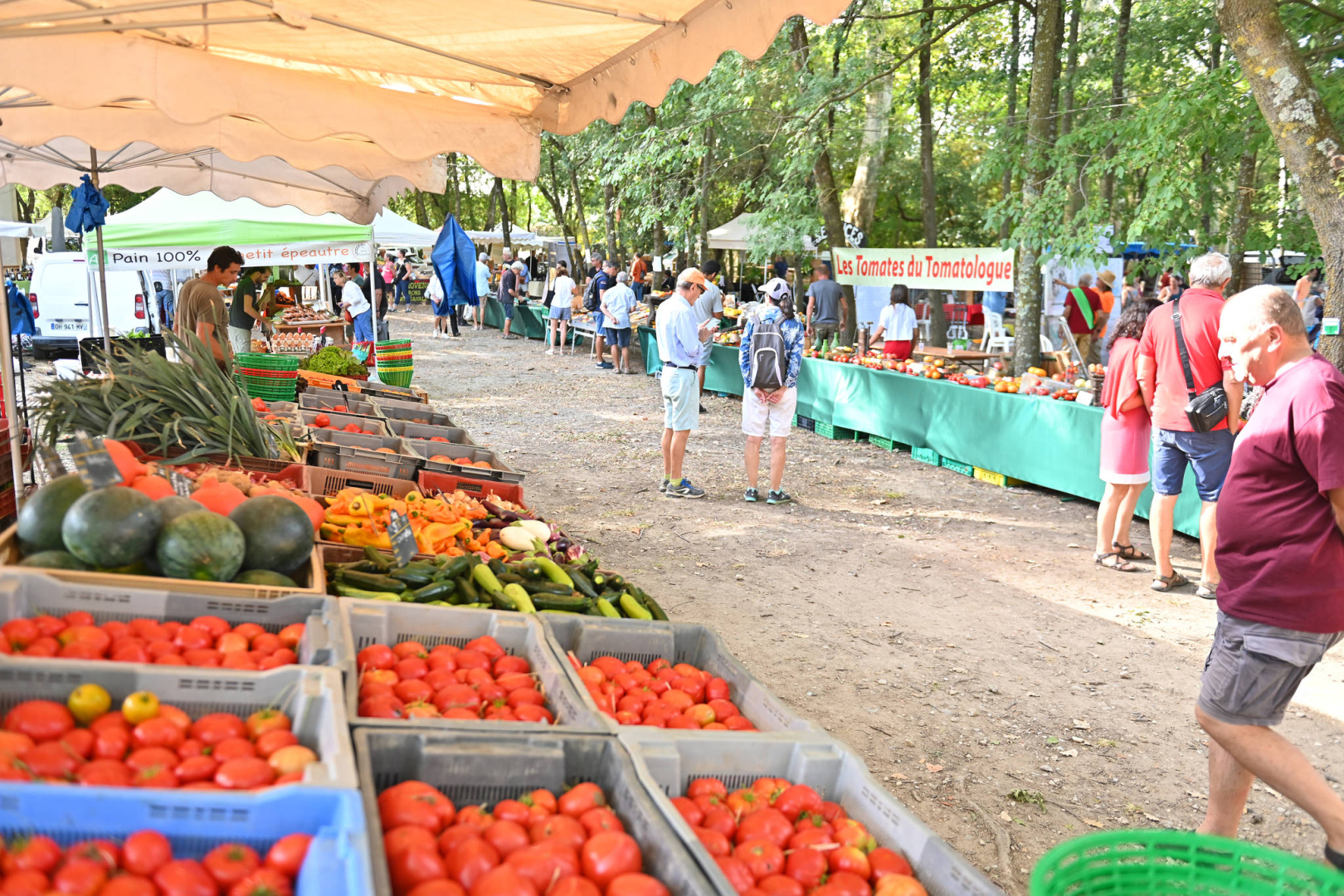 Fete de la tomate 