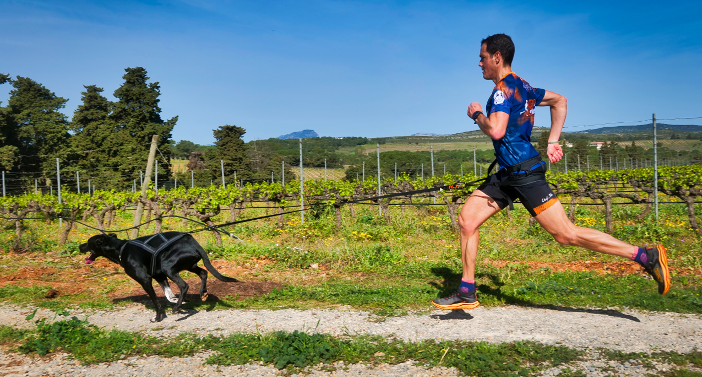 Homme courant et son chien