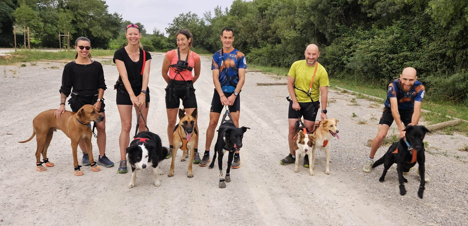 Les sportifs du canisport, maîtres et chiens