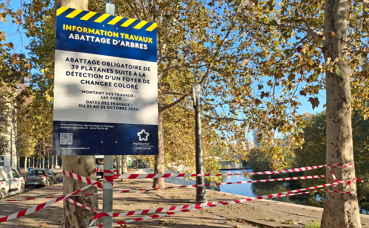 Panneau en bordure de Lez pour l'abattage des arbres