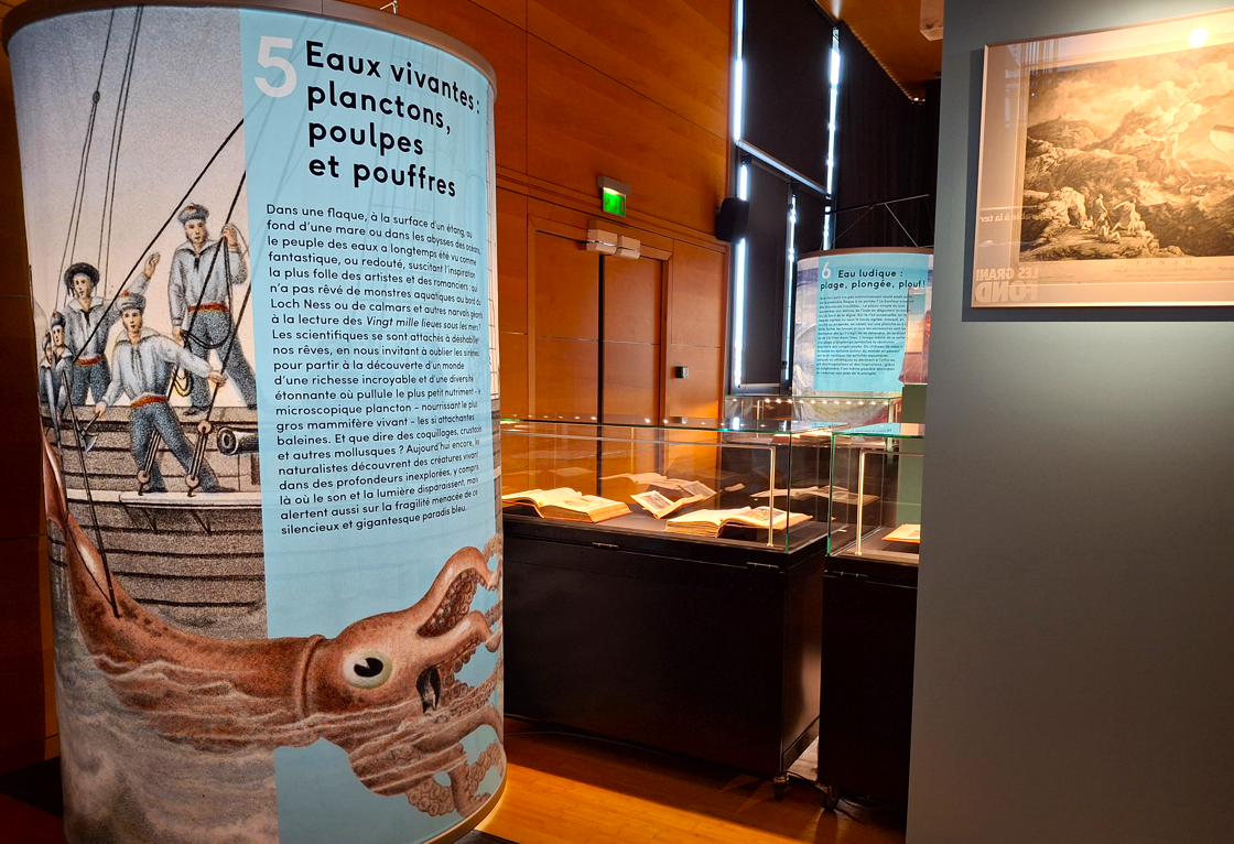 Vue intérieure de l'expo