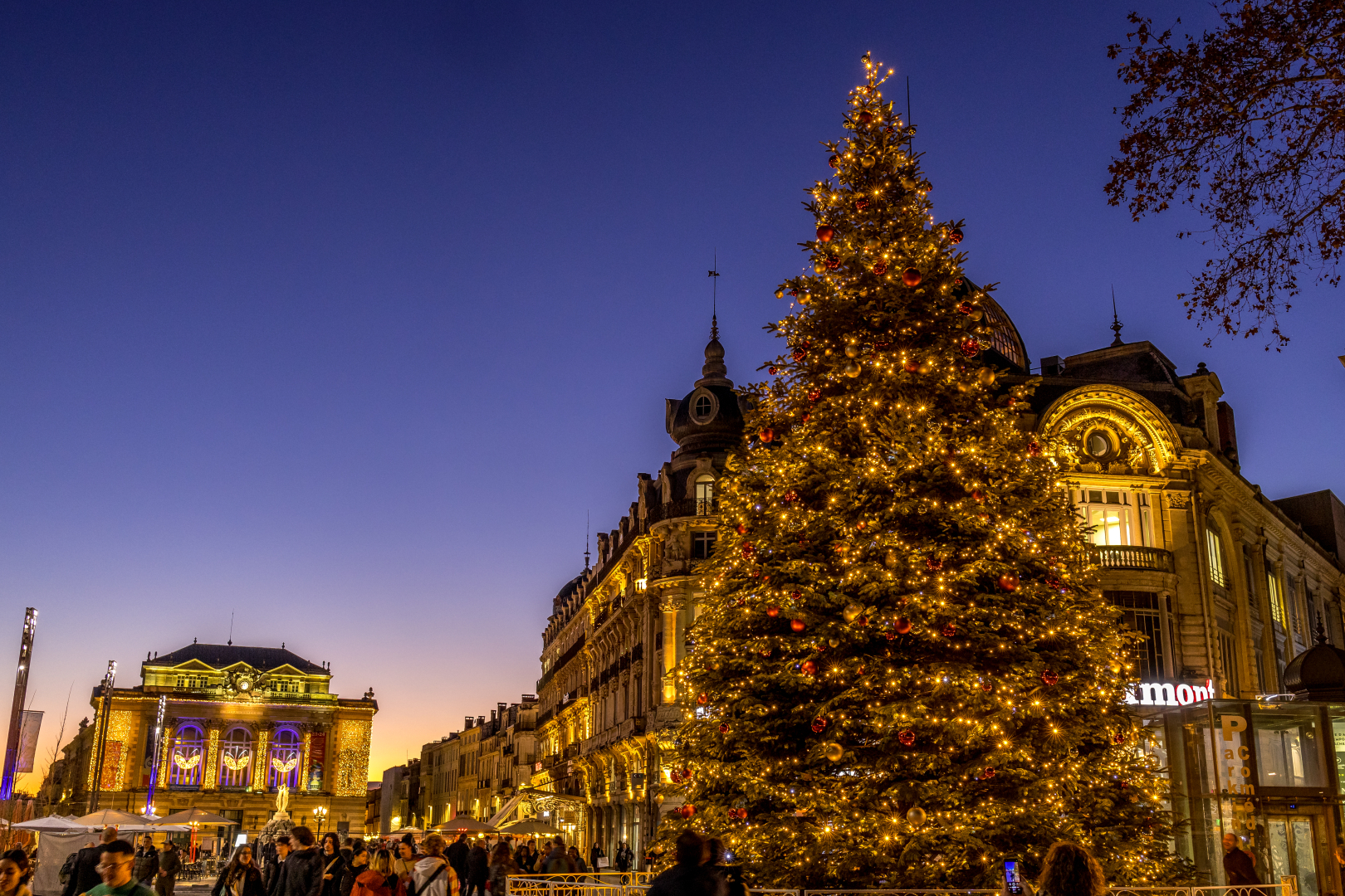 sapin comedie