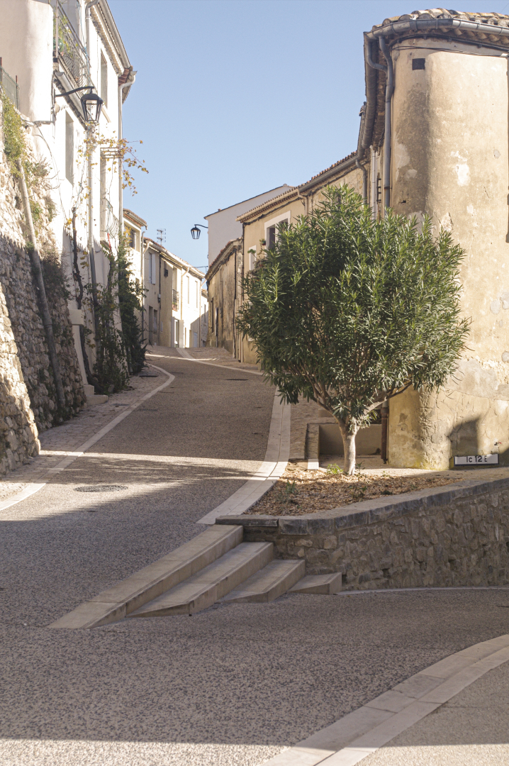 rue rénovée arbre soleil 