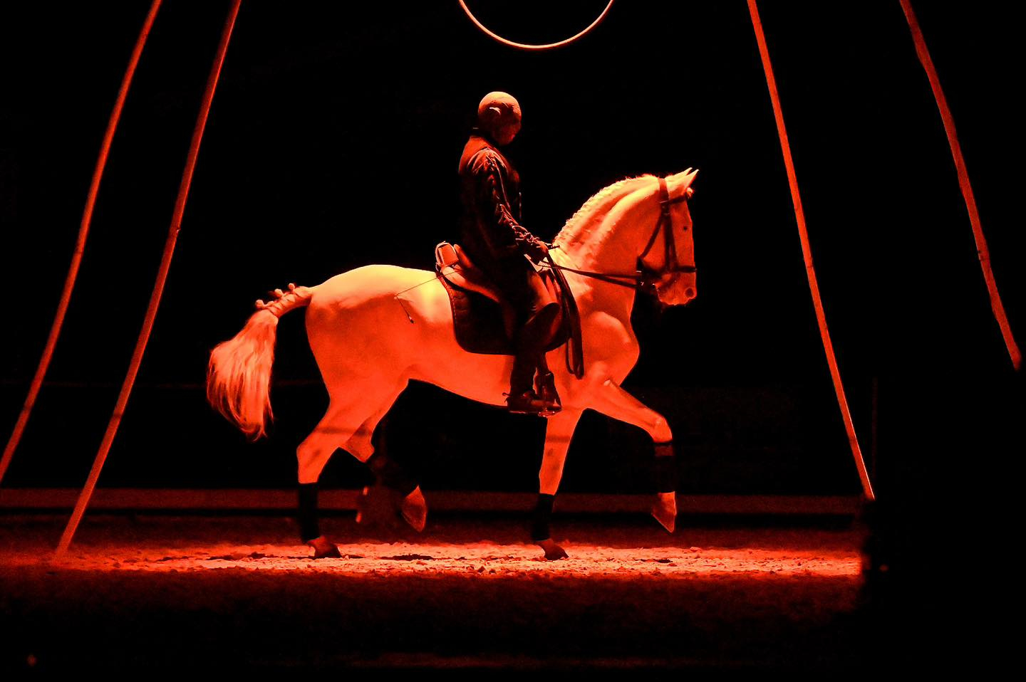 Photo de cavalier à cheval pour le grand spectacle équestre de Pérols