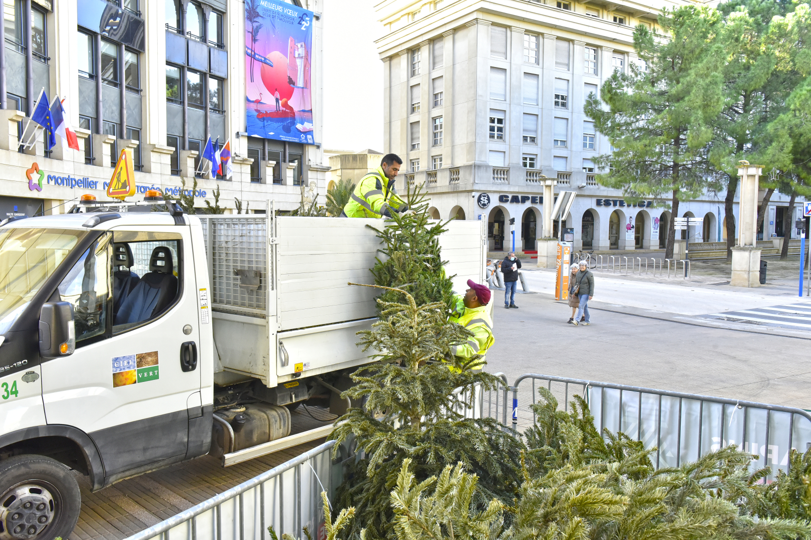 parc à sapins devant l'hôtel de Métropole, quartier Antigone 