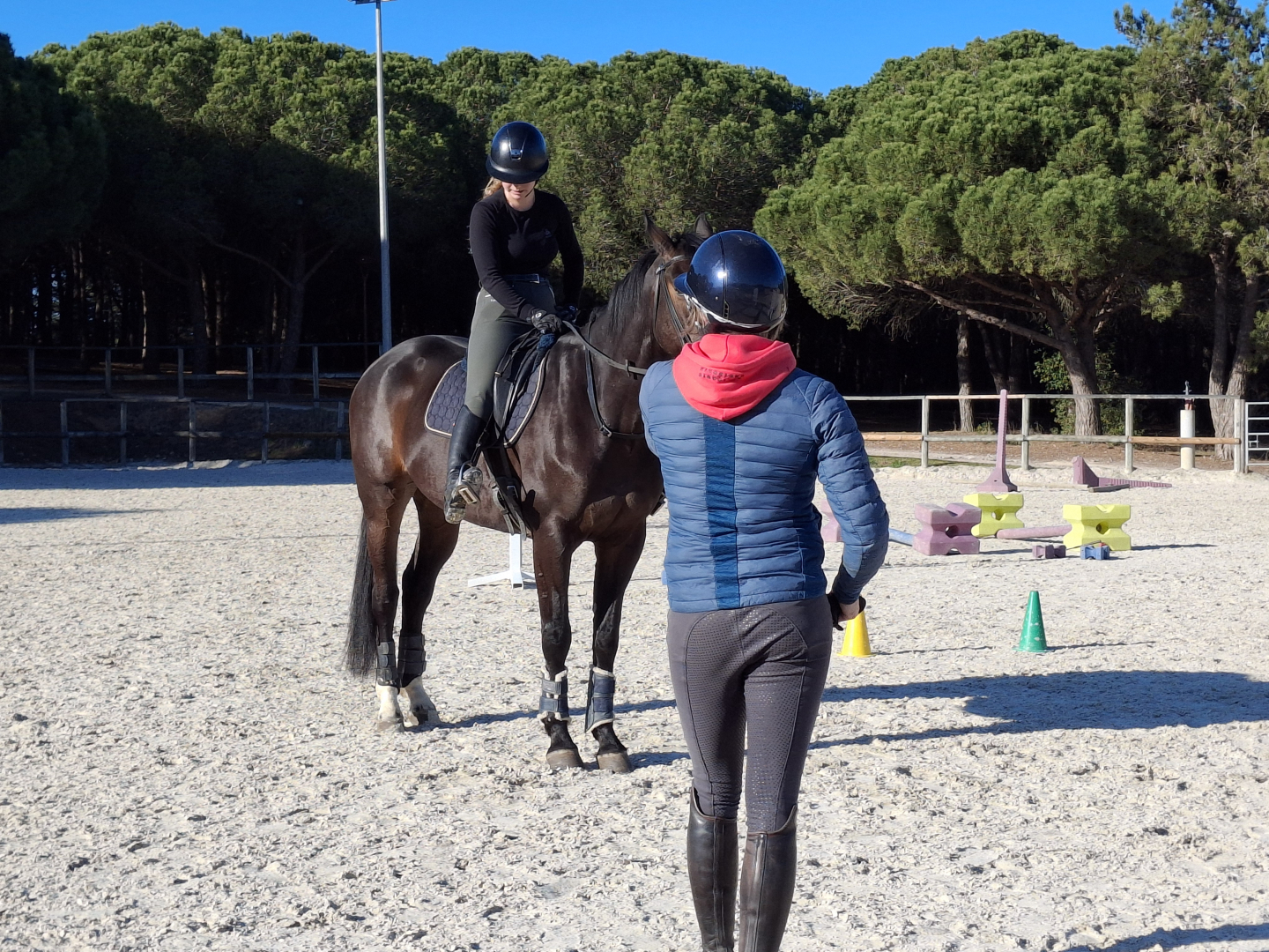 Cavalière dans la carrière