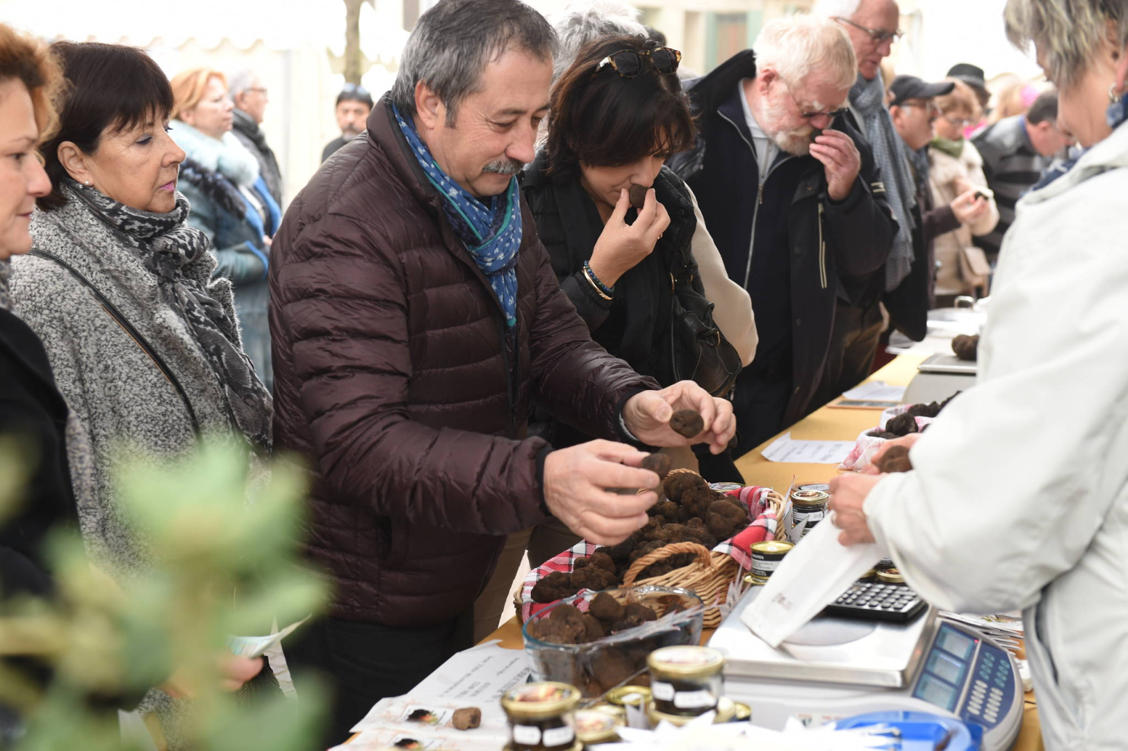 marché de la truffe
