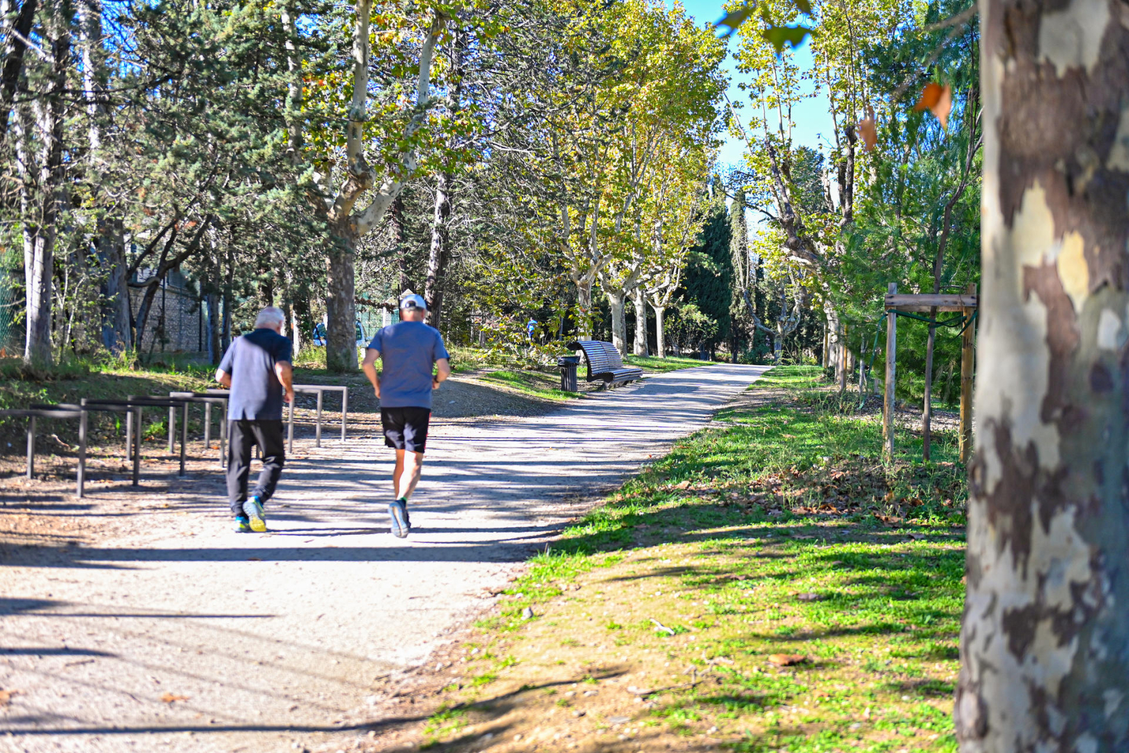 le parc et des coureurs