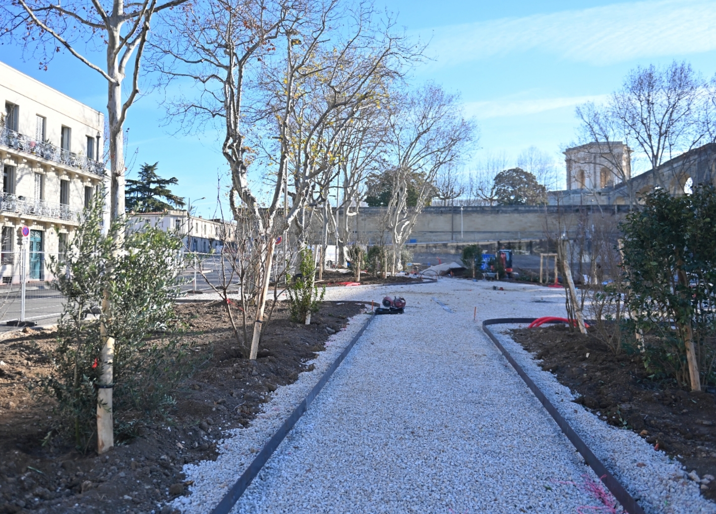 arbres plantation promenade piétonne 