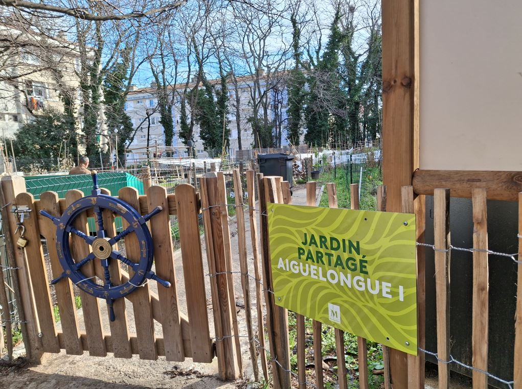 Jardin partagé