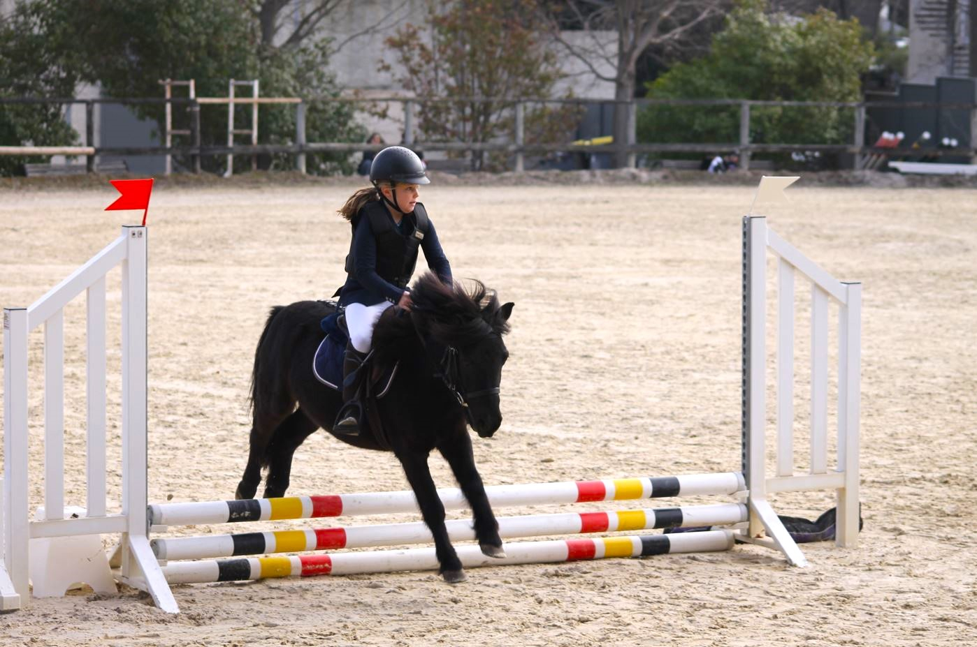 Petite cavalière sur un poney