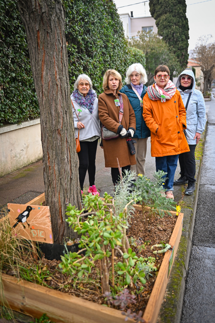 membres de l'association arbre plante fleur panneau
