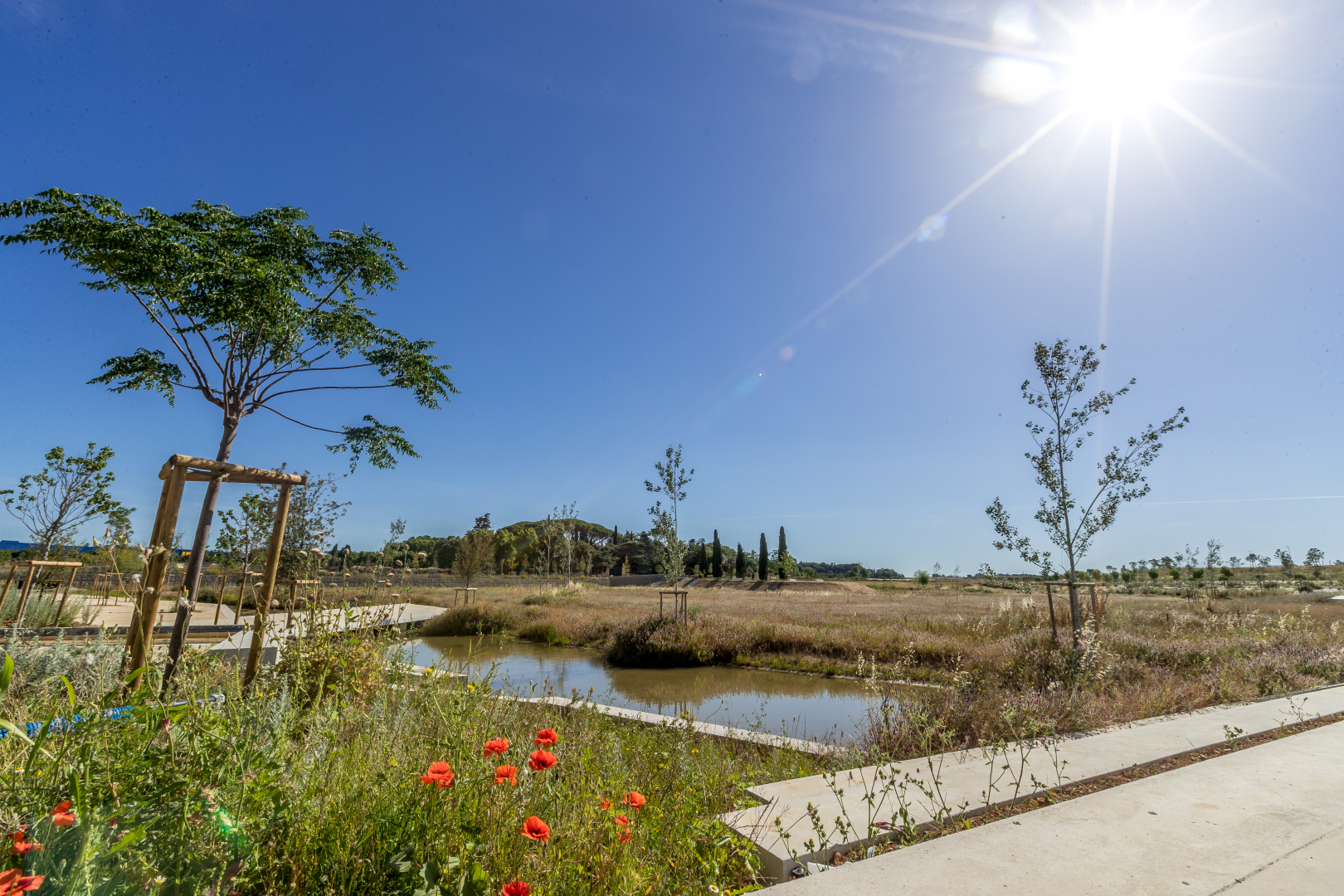 Vue du parc à Cambacérès