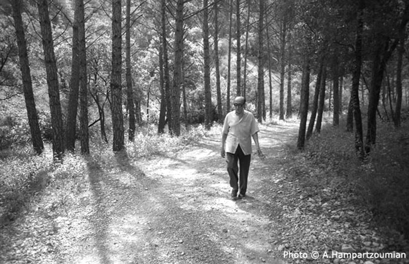 Photo de Max Rouquette sur un chemin forestier