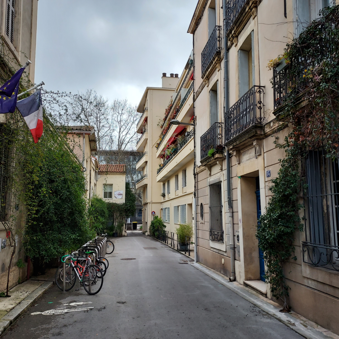 Après la végétalisation plantes grimpantes façades vélos  