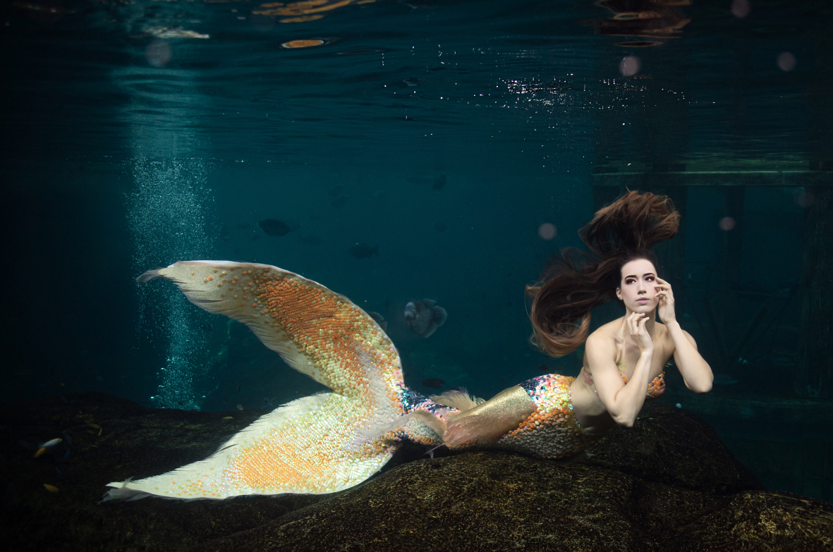la sirène