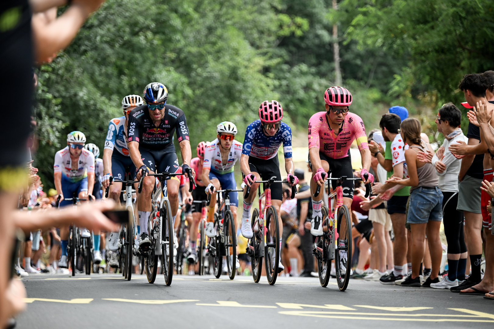 Peloton tour de France