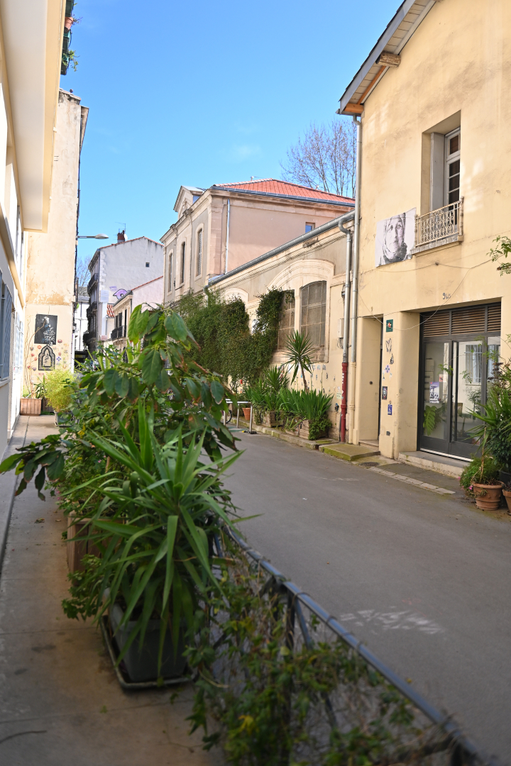 plantes en pots, plantes grimpantes, rue, façades