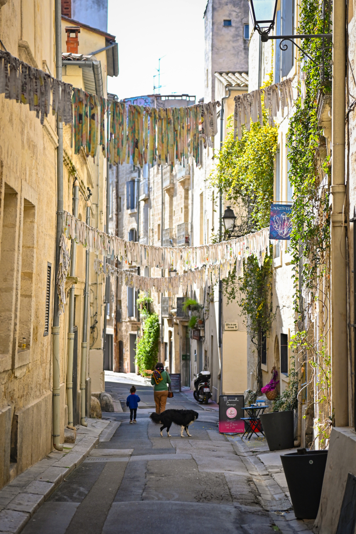 décorations pendantes chien personnes plantes façades 