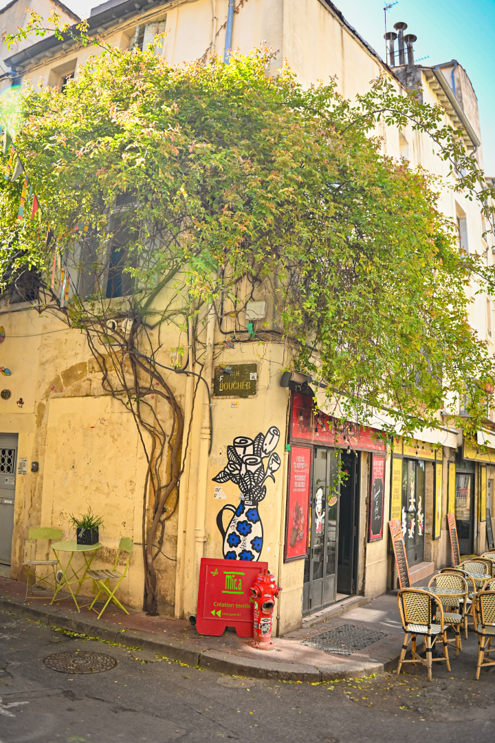 rue roucher plante grimpante façade trottoir 