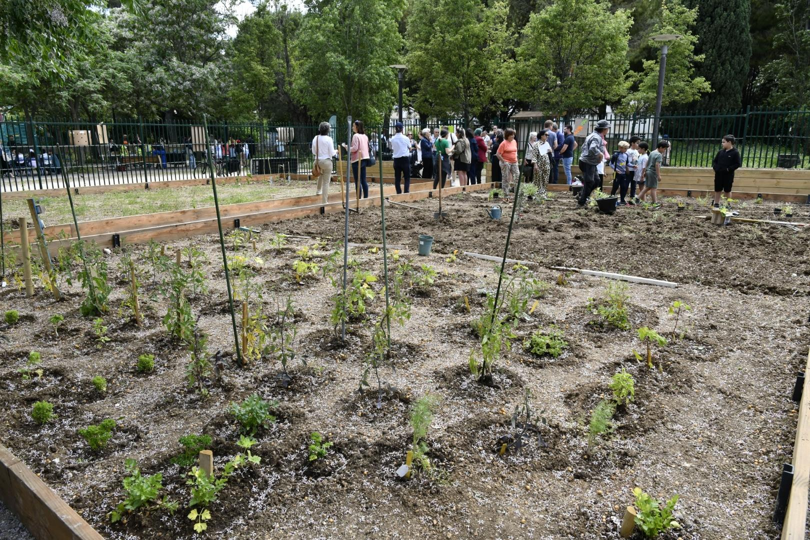 Jardin partagé 