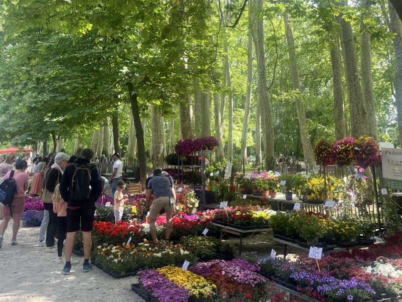 le parc du château