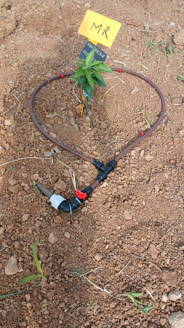 Goutte à goutte